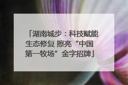 湖南城步：科技赋能生态修复 擦亮“中国第一牧场”金字招牌