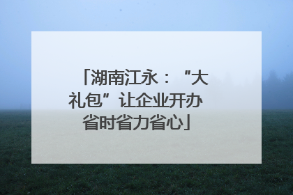 湖南江永：“大礼包”让企业开办省时省力省心