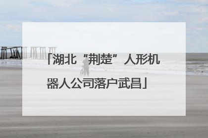 湖北“荆楚”人形机器人公司落户武昌