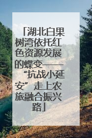 湖北白果树湾依托红色资源发展的蝶变——“抗战小延安”走上农旅融合振兴路