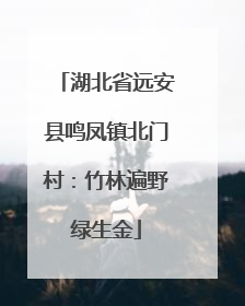 湖北省远安县鸣凤镇北门村：竹林遍野绿生金