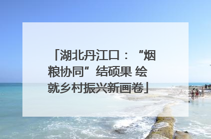 湖北丹江口：“烟粮协同”结硕果 绘就乡村振兴新画卷