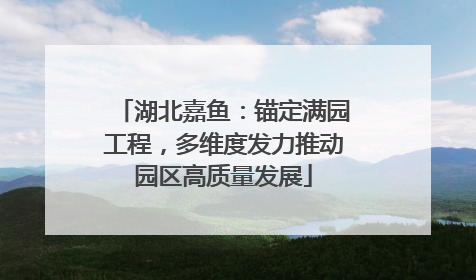 湖北嘉鱼：锚定满园工程，多维度发力推动园区高质量发展