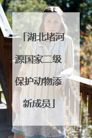 湖北堵河源国家二级保护动物添新成员