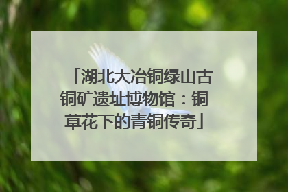 湖北大冶铜绿山古铜矿遗址博物馆：铜草花下的青铜传奇