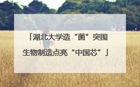 湖北大学造“菌”突围 生物制造点亮“中国芯”