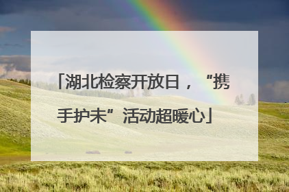 湖北检察开放日，“携手护未”活动超暖心
