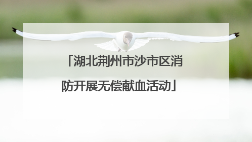 湖北荆州市沙市区消防开展无偿献血活动