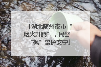 湖北随州夜市“烟火升腾”，民警“枫”景护安宁