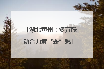 湖北黄州：多方联动合力解“薪”愁