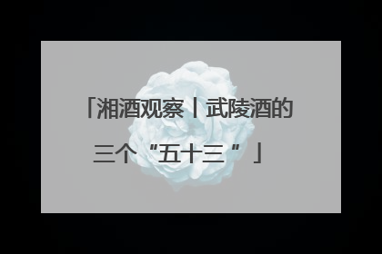 湘酒观察丨武陵酒的三个“五十三 ”