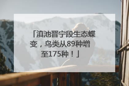 滇池晋宁段生态蝶变，鸟类从89种增至175种！