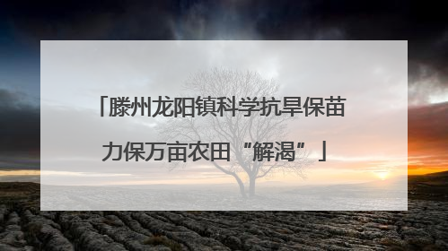 滕州龙阳镇科学抗旱保苗 力保万亩农田“解渴”