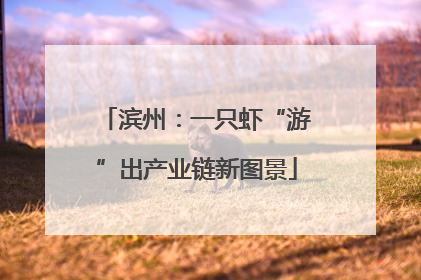 滨州：一只虾“游”出产业链新图景