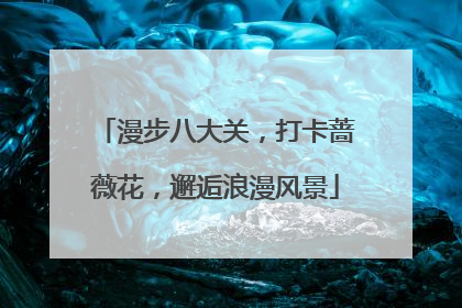 漫步八大关，打卡蔷薇花，邂逅浪漫风景