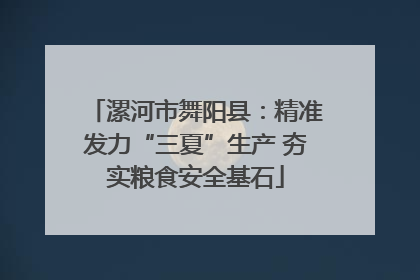 漯河市舞阳县：精准发力“三夏”生产 夯实粮食安全基石