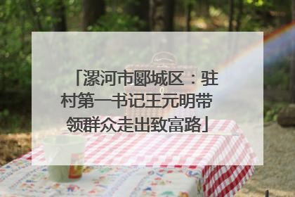漯河市郾城区：驻村第一书记王元明带领群众走出致富路