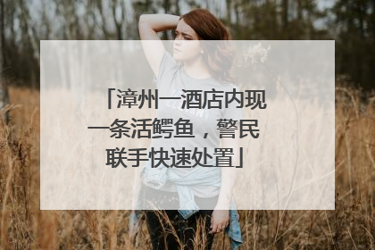 漳州一酒店内现一条活鳄鱼，警民联手快速处置