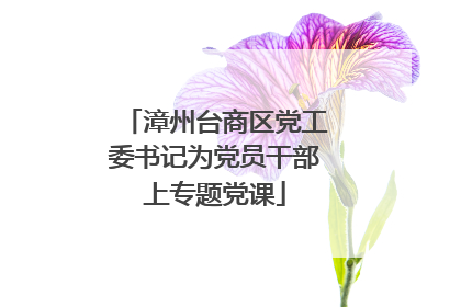 漳州台商区党工委书记为党员干部上专题党课