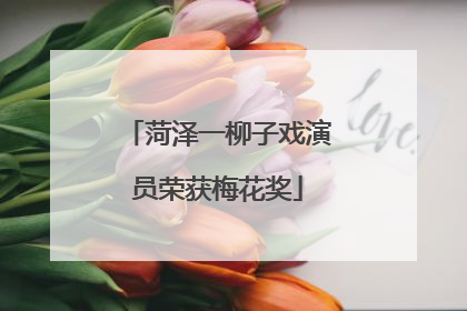 菏泽一柳子戏演员荣获梅花奖