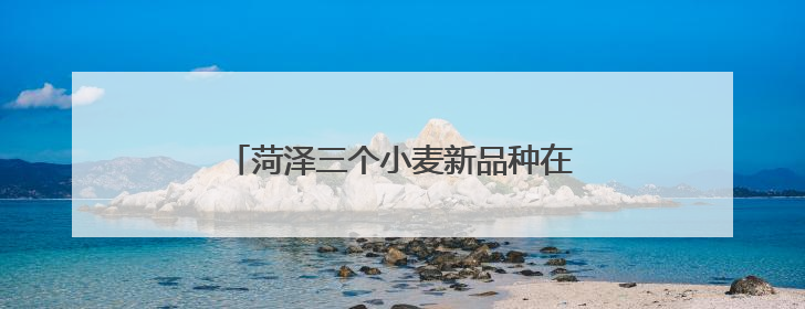 菏泽三个小麦新品种在新疆戈壁滩试种成功