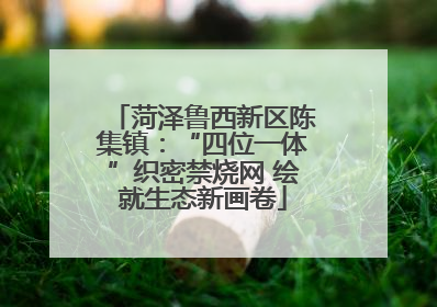 菏泽鲁西新区陈集镇：“四位一体”织密禁烧网 绘就生态新画卷