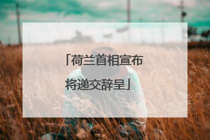 荷兰首相宣布将递交辞呈