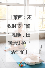 莱西：麦收时节“警”相随，田间地头护“农”忙