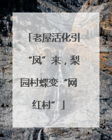 老屋活化引“凤”来，梨园村蝶变“网红村”