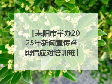 耒阳市举办2025年新闻宣传暨舆情应对培训班