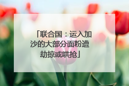 联合国：运入加沙的大部分面粉遭劫掠或哄抢