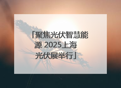 聚焦光伏智慧能源 2025上海光伏展举行