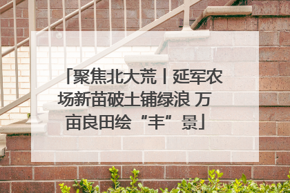 聚焦北大荒丨延军农场新苗破土铺绿浪 万亩良田绘“丰”景
