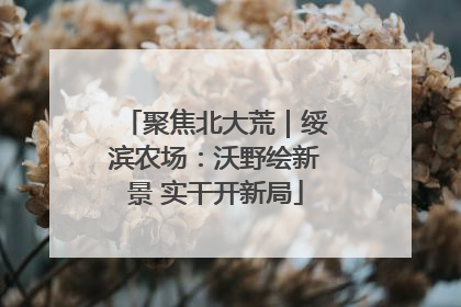 聚焦北大荒｜绥滨农场：沃野绘新景 实干开新局