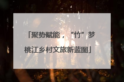 聚势赋能，“竹”梦桃江乡村文旅新蓝图