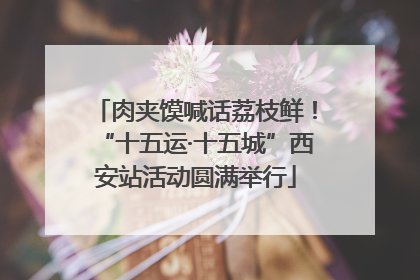 肉夹馍喊话荔枝鲜！“十五运·十五城”西安站活动圆满举行