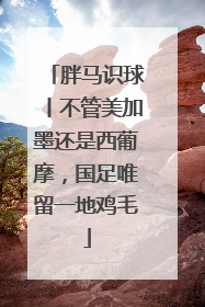 胖马识球丨不管美加墨还是西葡摩，国足唯留一地鸡毛
