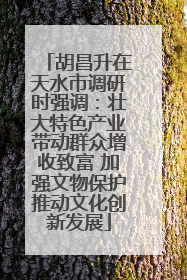 胡昌升在天水市调研时强调：壮大特色产业带动群众增收致富 加强文物保护推动文化创新发展