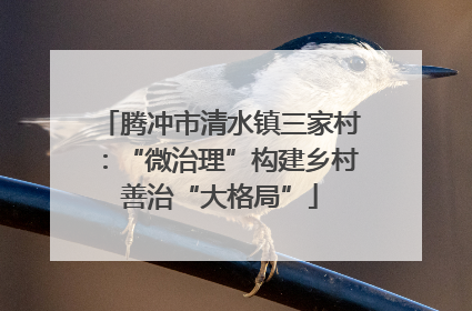 腾冲市清水镇三家村：“微治理”构建乡村善治“大格局”