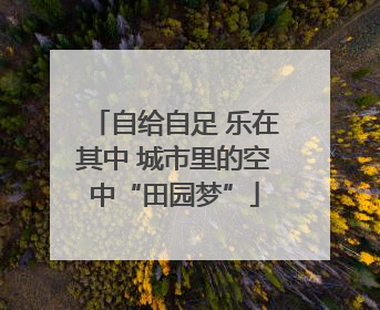自给自足 乐在其中 城市里的空中“田园梦”