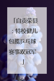 自贡荣县：特校健儿包揽乒乓球赛事双冠军
