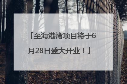 至海港湾项目将于6月28日盛大开业！
