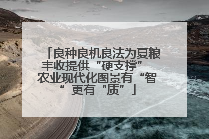 良种良机良法为夏粮丰收提供“硬支撑” 农业现代化图景有“智”更有“质”