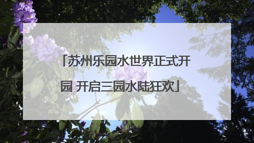 苏州乐园水世界正式开园 开启三园水陆狂欢
