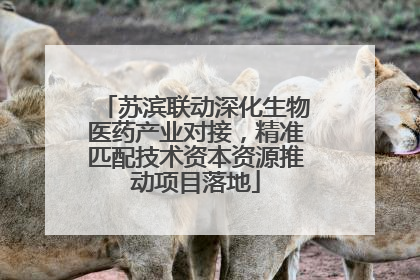 苏滨联动深化生物医药产业对接，精准匹配技术资本资源推动项目落地