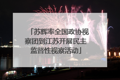 苏辉率全国政协视察团到江苏开展民主监督性视察活动