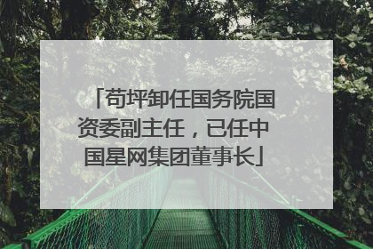 苟坪卸任国务院国资委副主任，已任中国星网集团董事长