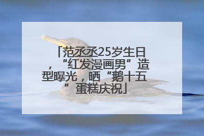 范丞丞25岁生日，“红发漫画男”造型曝光，晒“鹅十五”蛋糕庆祝