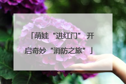 萌娃“进红门” 开启奇妙“消防之旅”
