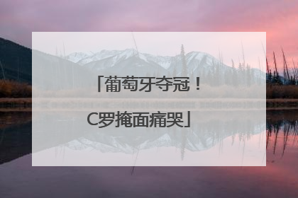 葡萄牙夺冠！C罗掩面痛哭